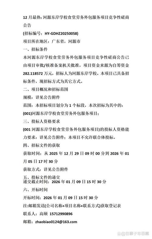 河源东岸学校食堂劳务外包与软件外包服务 12月竞争性磋商公告解析